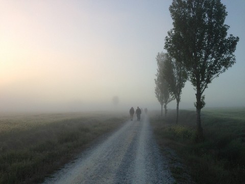 Fog walking 1