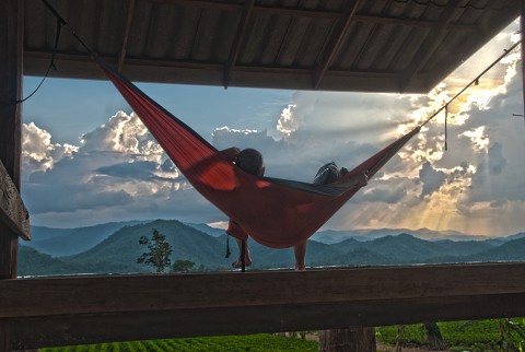 Hammock