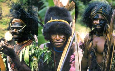 New Guinea