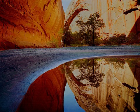 Reflection Pool Escalante