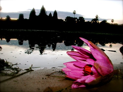 angkor2