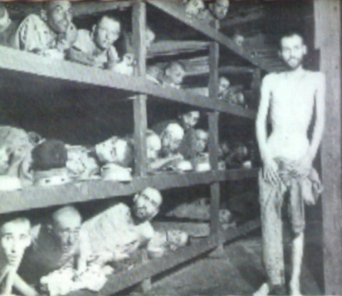 dachau living hell 1