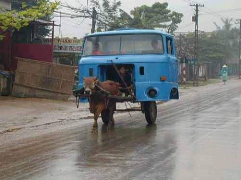 horse truck